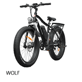 ebike