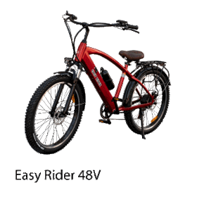 ebike