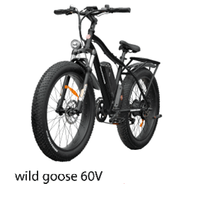 ebike