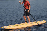 paddle board